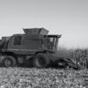 dorsen, grondbewerking, landbouwmachine, loonbedrijf, maaien, oogsten, oogstmachine, ploegen, plukken