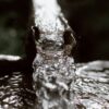 aanleggen, afwateren, bermsloot, drainage, draineren, droogleggen, goot, greppel, onderwaterdrainage, sloot