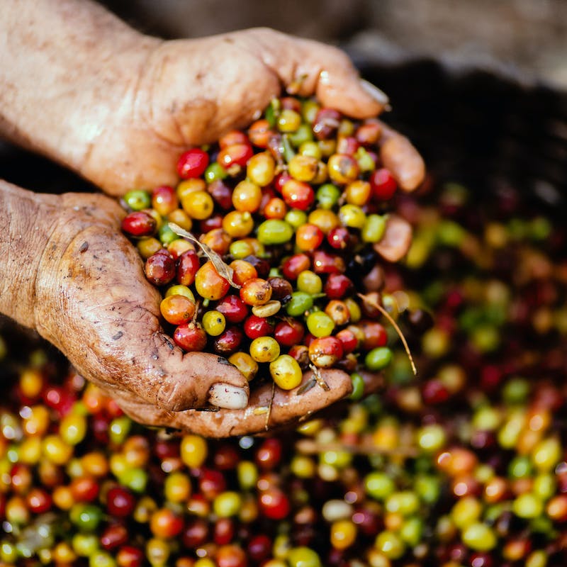 afspoelen, bezinkbassin, bezinken, biologisch, bloembollen, fruit, groente, knollen, naspoelwater, ontzanden, planten, schoonmaken, schoonspoelen, voorspoelwater