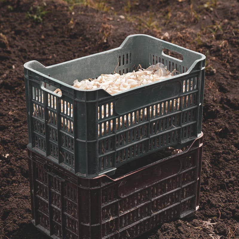 bloemendoos, bloemendozen, bloemenemmer, bloempot, bollen, container, doos, dozen, fruitkist, groentenkist, hergebruiken, kist, knollen, mand, planten, plantpot, reinigen, schoonspoelen, spoelen, uitwassen, wassen, zak