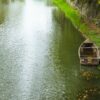 KRW-oever, ecologische oever, natuurbouw, natuurlijke oever, vooroeververdediging