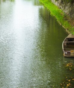 KRW-oever, ecologische oever, natuurbouw, natuurlijke oever, vooroeververdediging