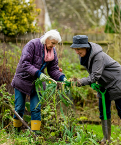 Verken jouw idee Beplanting onderhouden of weghalen