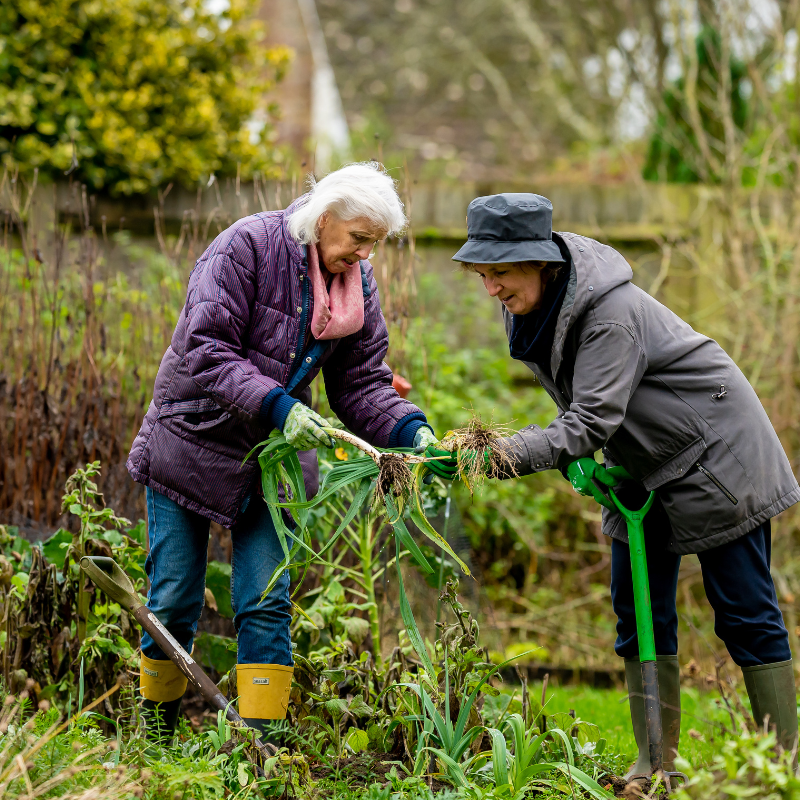 Verken jouw idee Beplanting onderhouden of weghalen