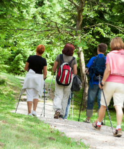 Conceptverzoek Wandeltocht organiseren
