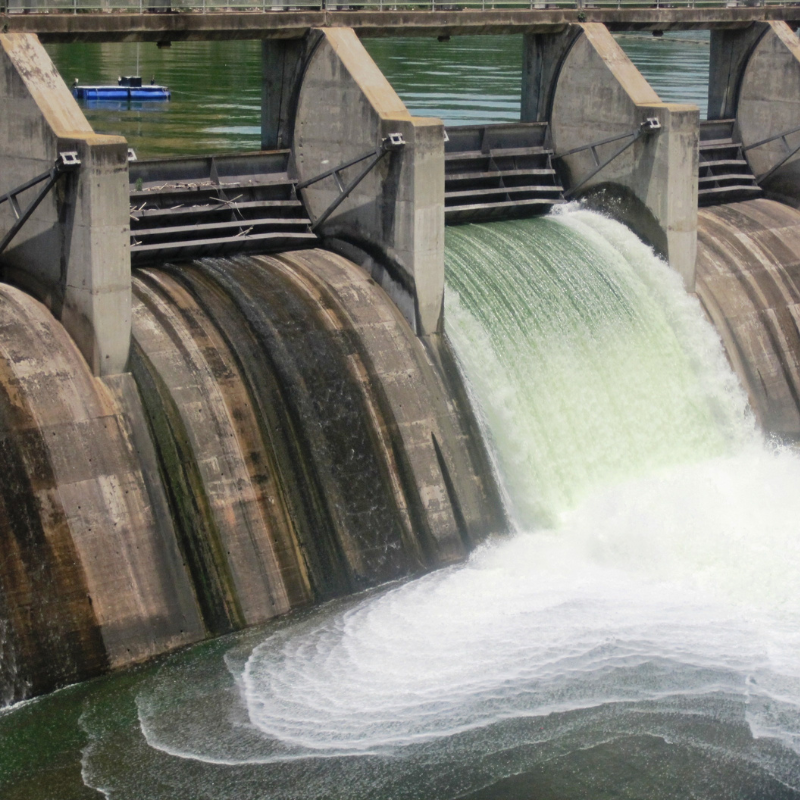 Conceptverzoek Dam of duiker weghalen